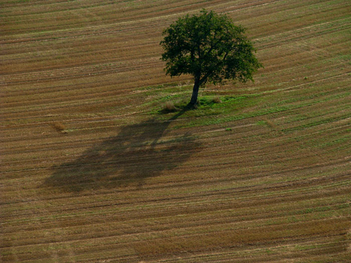 Paramoteur