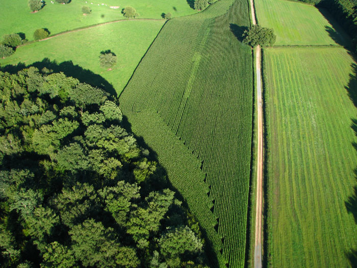 2011