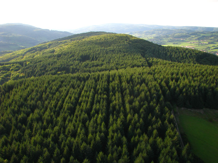 2011