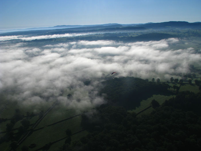 2011