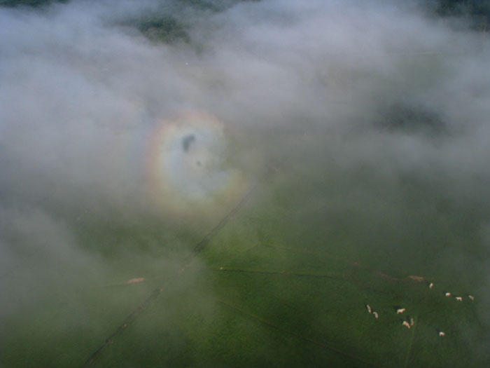 2011